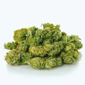 Blueberry Muffin Hidropónica plus 5gr