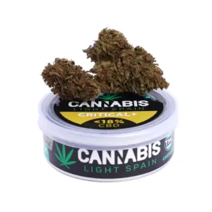 Critical  + Green House 6gr