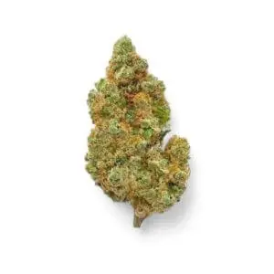 Jack White Hidropónica Plus 5gr