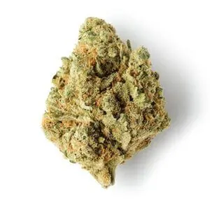 Super Silver Haze Hidropónica plus 3gr