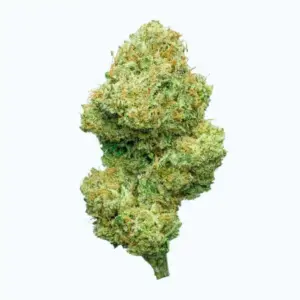 Zkittlez Hidropónica 3gr